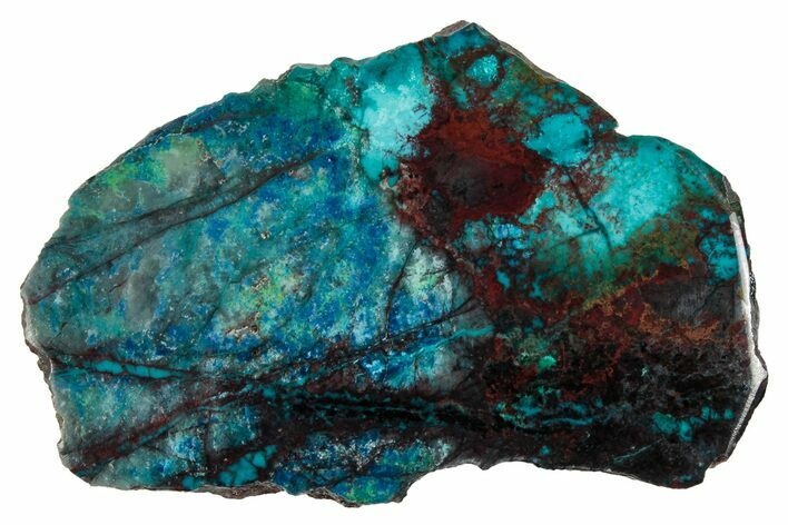 Vibrant Chrysocolla and Shattuckite Section - Mexico #337051